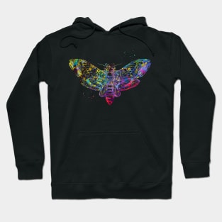 Moth Hoodie